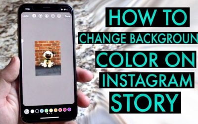 How to Change Background Color on Instagram Story?