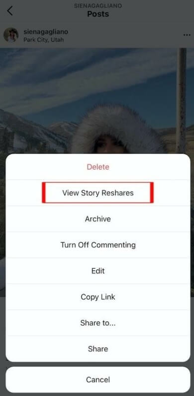 How to check who shared your Instagram post