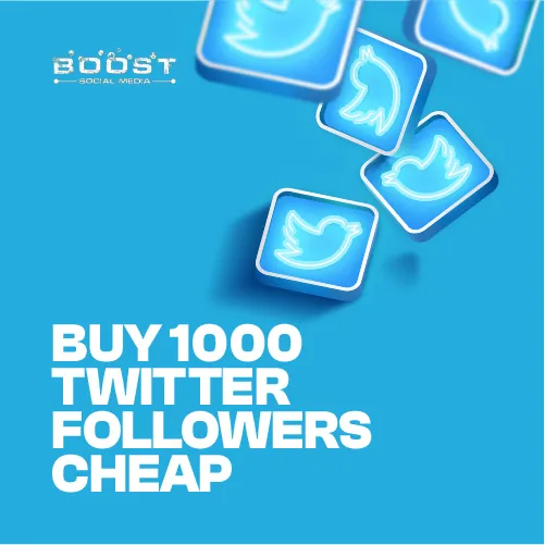 buy 1000 twitter followers cheap