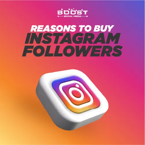Reasons to Buy Instagram Followers