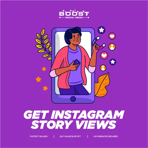 Get Instagram Story Views