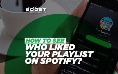 How to See Who Liked Your Playlist on Spotify? (Is This Possible)