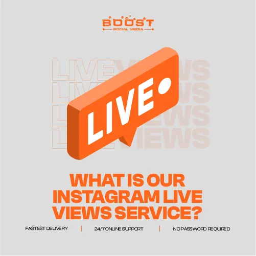 What Is Our Instagram Live Views Service