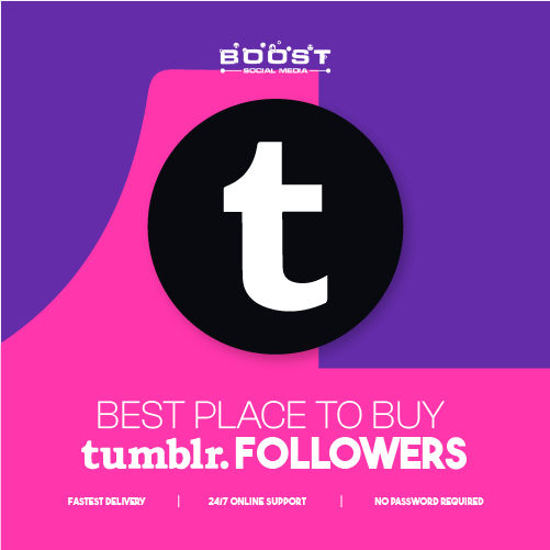 Best Place to Buy Tumblr Followers