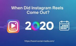 When Did Instagram Reels Come Out?